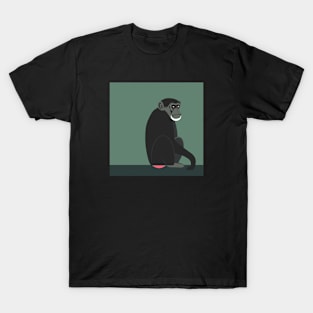 C is a Chimp T-Shirt